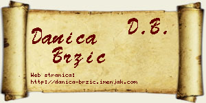 Danica Brzić vizit kartica